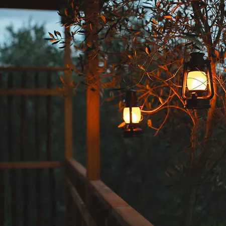 Le Fraine - Agriturismo & Olives Glamping-2